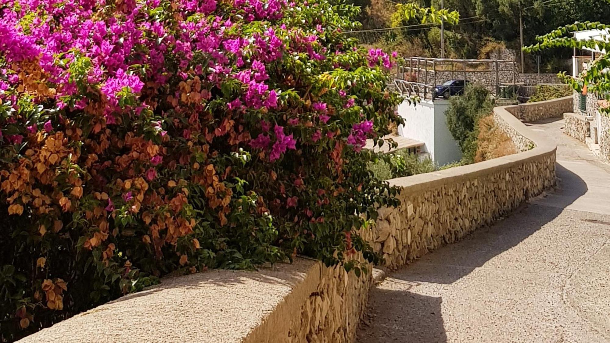 Al Poggio Antico Aparthotel Amalfi Bagian luar foto