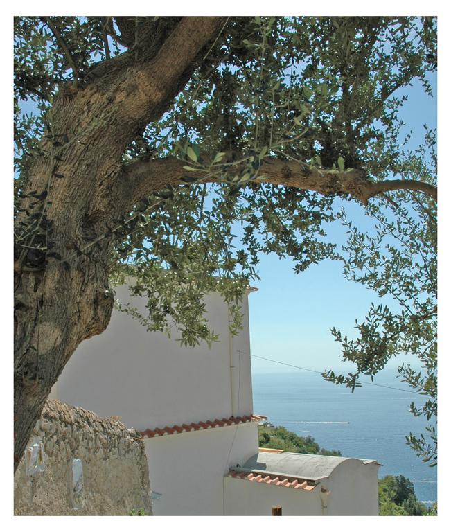 Al Poggio Antico Aparthotel Amalfi Bagian luar foto